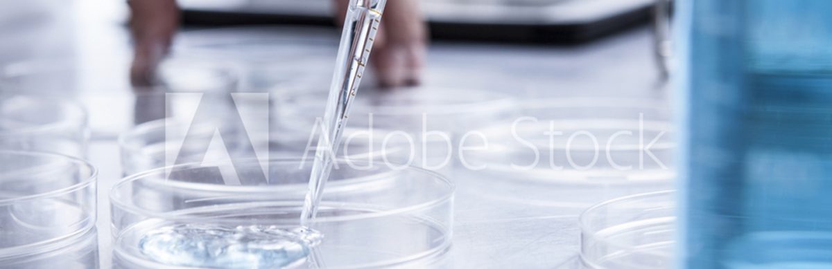 Diffusion coefficient through the blood-aqueous barrier using a standard protocol.